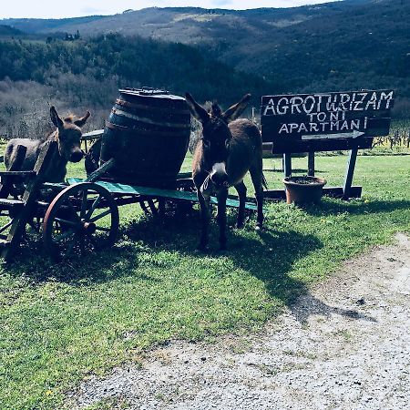 모토분 Agroturizam Toni 아파트 외부 사진