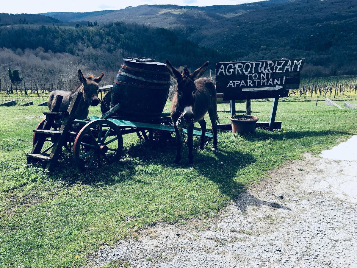 모토분 Agroturizam Toni 아파트 외부 사진