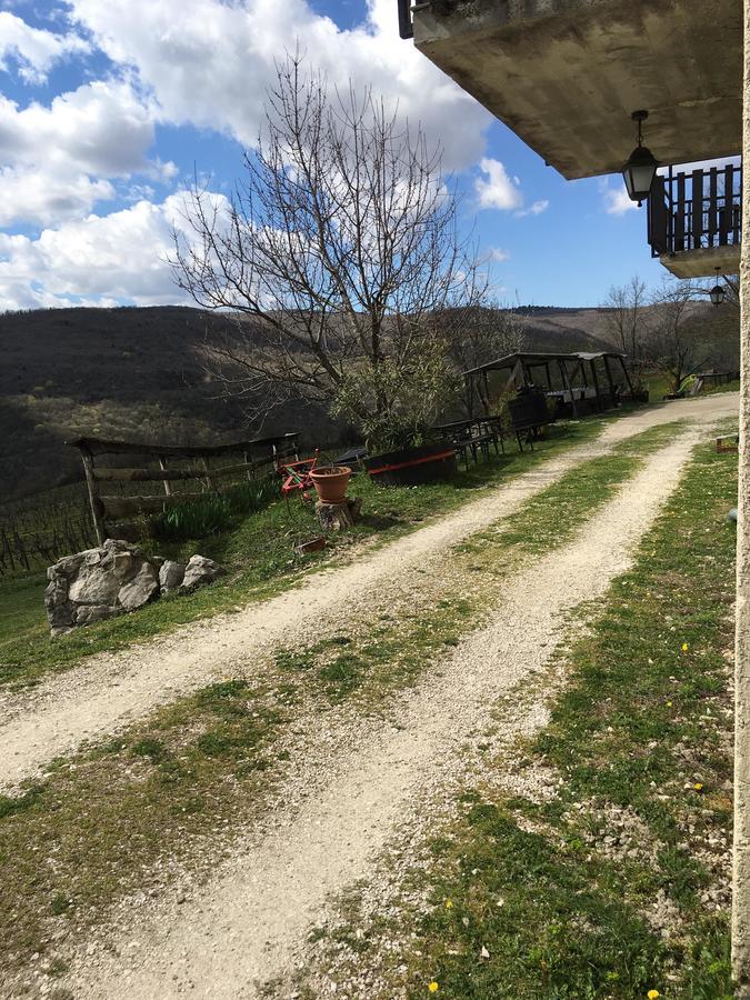 모토분 Agroturizam Toni 아파트 외부 사진